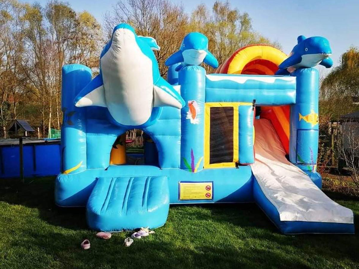 Multiplay Dolfijn