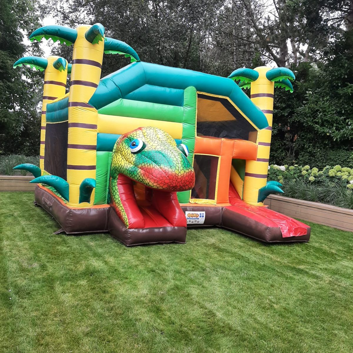 Multiplay Kameleon