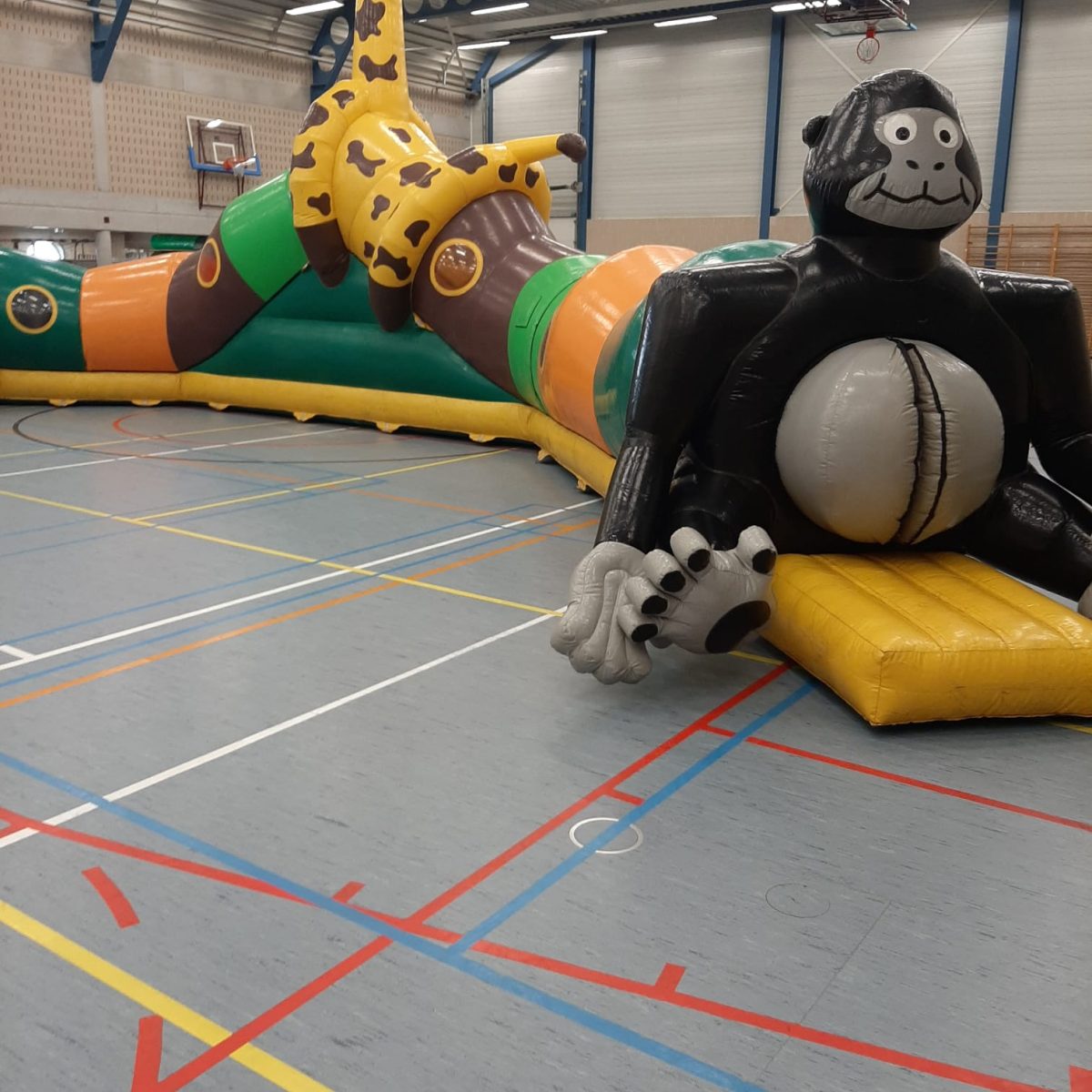 Jungle rups