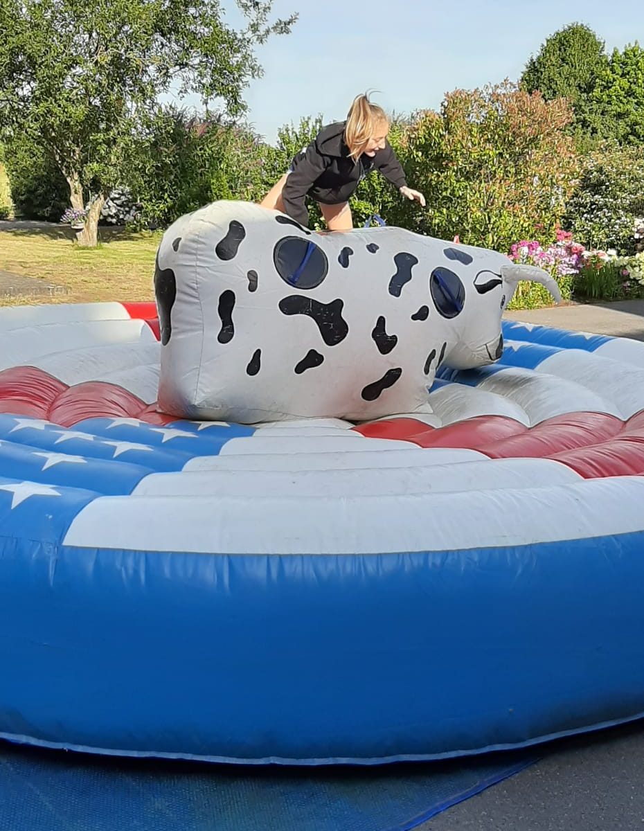 Rodeostier