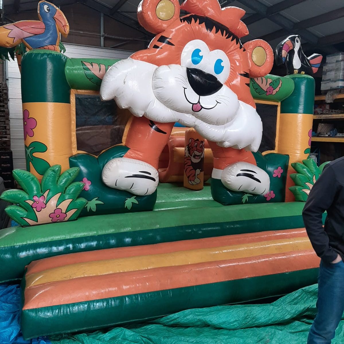 Multiplay Tijger